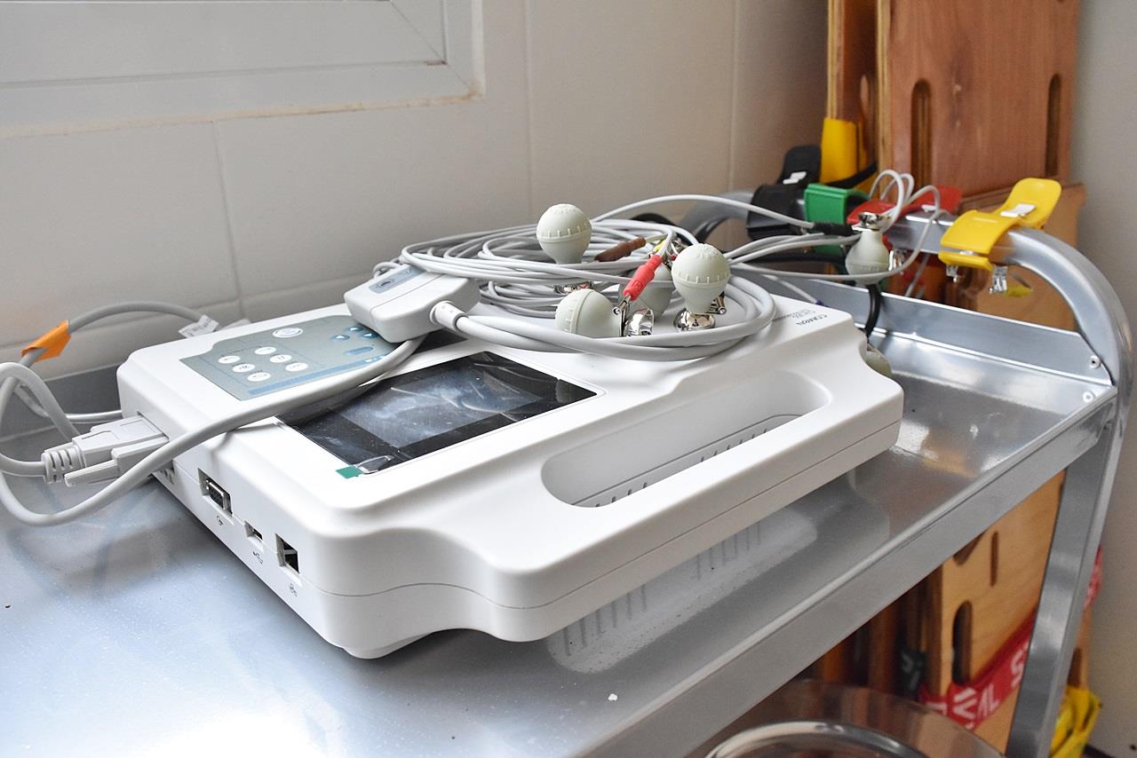 57649153_2296653890355373_7641920118749921280_o 57649153_2296653890355373_7641920118749921280_o